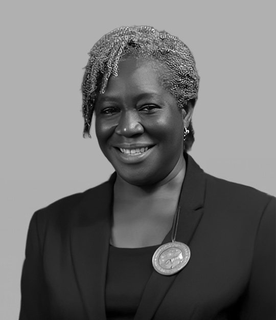 Olusola Adegbonmire